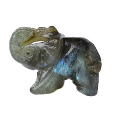 20 Various Natural Quartz Elephant Crystal